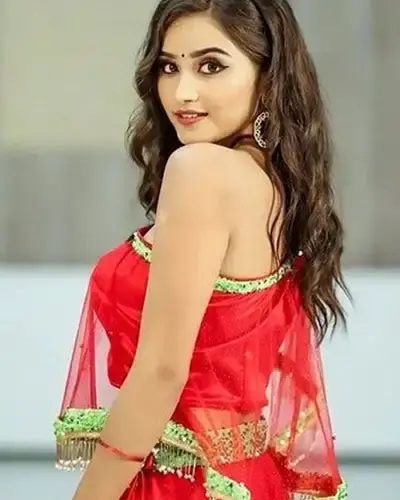 Escort In Mount Abu
